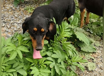 Marie, sucht Liebe und Geborgenheit