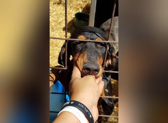 Marie, sucht Liebe und Geborgenheit