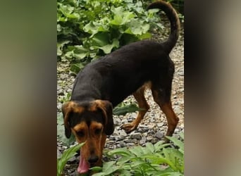 Hermine, wünscht sich eine liebe Familie