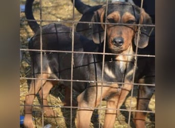 Hermine, wünscht sich eine liebe Familie