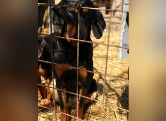 Marie, sucht Liebe und Geborgenheit