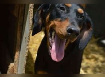 Marie, sucht Liebe und Geborgenheit