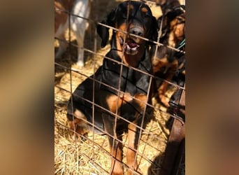 Marie, sucht Liebe und Geborgenheit