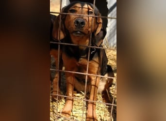 Hermine, wünscht sich eine liebe Familie