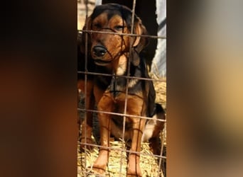 Hermine, wünscht sich eine liebe Familie