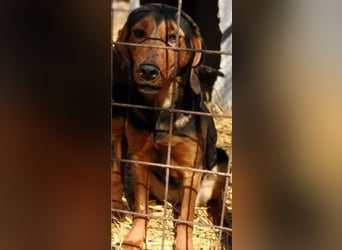 Hermine, wünscht sich eine liebe Familie