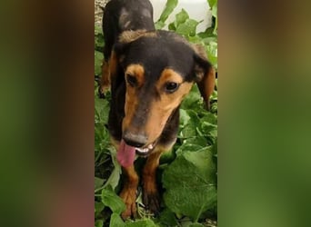 Hermine, wünscht sich eine liebe Familie