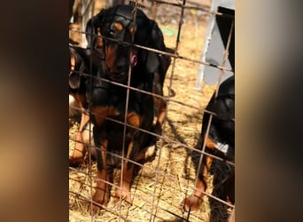 Marie, sucht Liebe und Geborgenheit