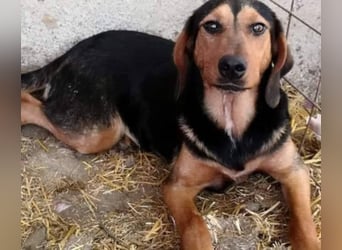 Hermine, wünscht sich eine liebe Familie