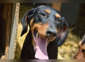 Marie, sucht Liebe und Geborgenheit