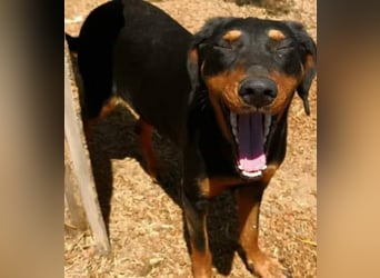 Marie, sucht Liebe und Geborgenheit