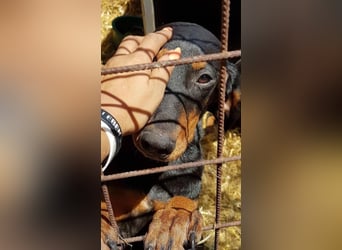 Marie, sucht Liebe und Geborgenheit