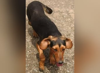 Hermine, wünscht sich eine liebe Familie