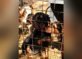 Marie, sucht Liebe und Geborgenheit