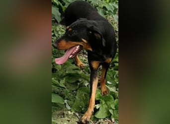 Bine, wer hat mich lieb ?