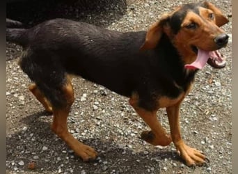 Hermine, wünscht sich eine liebe Familie