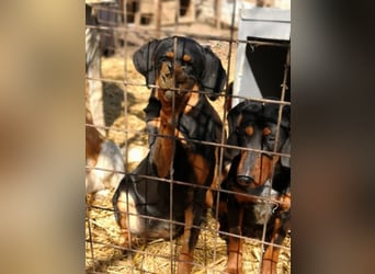 Marie, sucht Liebe und Geborgenheit