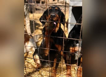 Marie, sucht Liebe und Geborgenheit