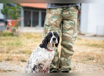 Janka - traurige See sucht liebevolles Zuhause