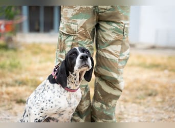Janka - traurige See sucht liebevolles Zuhause