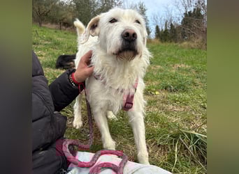 Bianca - liebevoll, zugewandt und bereit für ihr neues Leben