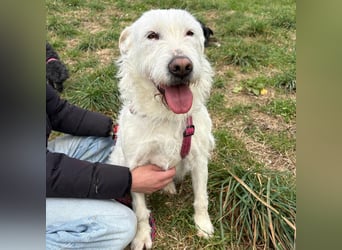 Bianca - liebevoll, zugewandt und bereit für ihr neues Leben