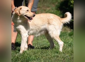 Quita