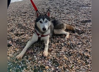 Eve, ein Leben auf dem Balkon ;-(   , fast  2 Jahre lang