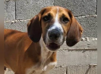 Bracken-Mix ♥Sky♥ lieb + abenteuerlustig
