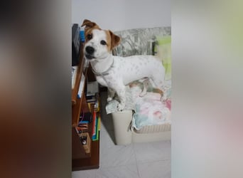 Romeo möchte ankommen