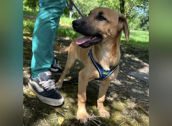 Nina ein kleiner Engelchen