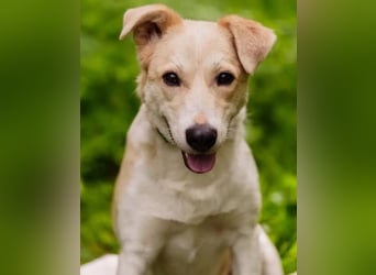 Zuckersüße Tiffany sucht