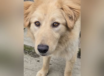 Fly sucht ein neues Zuhause