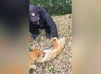 LEILA sucht eine Familie