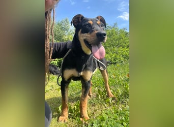 Kenby ein fröhlicher freundlicher Bub
