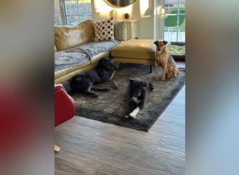 sensible, kleine JAANA sucht geduldige Menschen