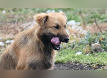 Unsere schüchterne Dani sucht Dich