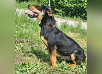 Kenby ein fröhlicher freundlicher Bub