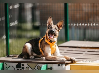 Besondere Deya sucht warmes Körbchen