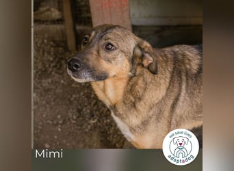 Mimi: Mit einem Lächeln ins Glück