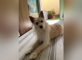 Loretta SR – Unkomplizierte Dame sucht ihr Zuhause