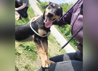 Kenby ein fröhlicher freundlicher Bub
