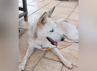 Perla: Sportskanone und Kuschelmaus