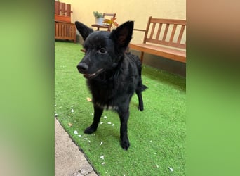 Fiona SR– Kleine Entdeckerin sucht liebevolles Zuhause