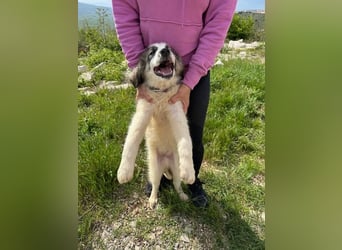 Campino sucht sein großes Glück