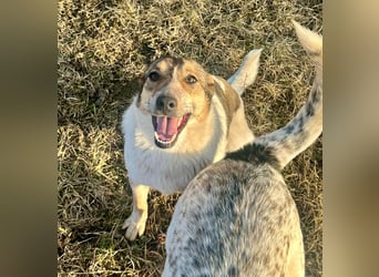 Aufgeschlossene Freya sucht liebe Familie