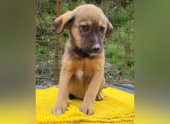 Fellschnute ♥Fina♥ sucht ihr großes Glück