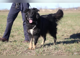 Unsere Wuschelmaus Astra