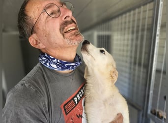 Cole: Lausbub zum Verlieben