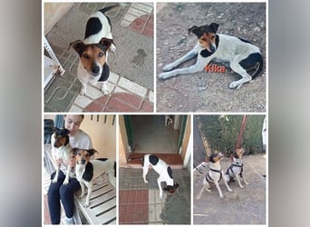 KIKA